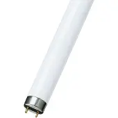 Osram G13 T8 36W Fluora per piante