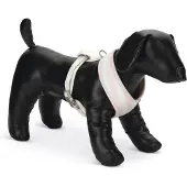Beeztees Pettorina Per Cani Filana