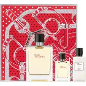 Hermès Paris Terre D'100 ml Eau de Toilette Uomo