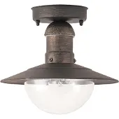 Rabalux Oslo plafoniera per esterni 1x E27 oro antico