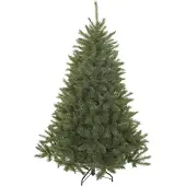 Triumph tree Baum Bristlecone 155 Cm