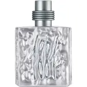 Cerrutti 1881 Silver EDT Uomo 100 ml — Eau de Toilette
