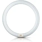 Philips Anello a fluorescenza Master Circular TL-E