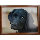 Creative Tops Vassoio Labrador Nero