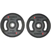 FINNLO Disco Pesi 25kg 2 Unità
