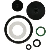 Birchmeier Set di guarnizioni DR5