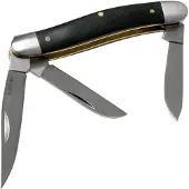 Kershaw Coltello pieghevole Brandywine