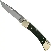 Buck Knives 110 Folding Hunter