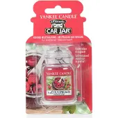 Yankee candle Targhetta Per Auto Rosso Lampone 1 pezzo Profumatore Auto