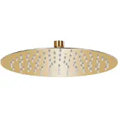 vidaXL Regenduschkopf rund 25 cm Edelstahl Gold gefärbt