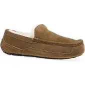 Ugg Pantofole Ascot