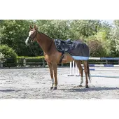Equithème E-Th.600D Rene D.mbl/Grigio 155