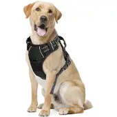Nobleza Pettorina Per Cani