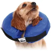 Kvp Collare Per Cani Kong Cloud