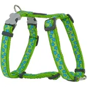 Red Dingo Pettorina Per Cani Style Star