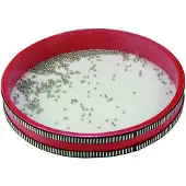 Reig Musicales Tamburo Ocean Diameter 28 Cm