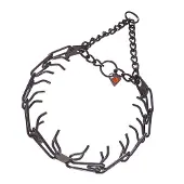Sprenger Collana Con Catena Di Punizione In Acciaio Inossidabile