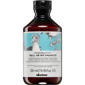 Davines Alchemic Shampoo capelli idratazione 250 ml — Shampoo