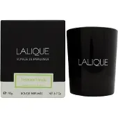Lalique Candela Osmanthus Himalaya Nepal 190g