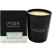 Lalique Candela Poplar Aspen 190g
