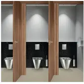 Delabie Filato a spazzola WC. W.-Mont. w. Acciaio inox lucidato.