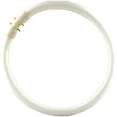 Philips 2GX13 60W 840 Anello fluorescente Master TL5