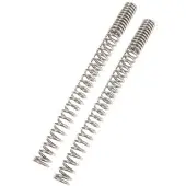 Wirth Federn Molle Per Forcella Progressive XT 660 X 04-