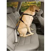 Kurgo Cintura Di Sicurezza Per Cani