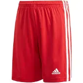 Adidas Pantaloni Corti Squadra 21