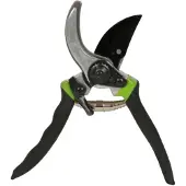 Huismerk Cesoie 21 cm Grigio/Verde