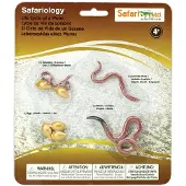 Safari Ltd Ciclo Di Vita Di Un Verme Figura