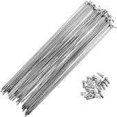 Mvtek Raggi Zinc D2 Mm 100 Unità