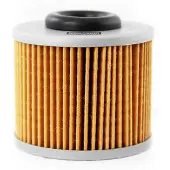 Champion Parts Filtro Dell´olio Cof469 Mv Augusta F3 800rc 2016