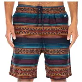 Iriedaily Vintachi Short Pantaloncini Uomo (XS, marrone)