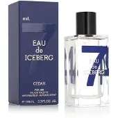 Iceberg Eau De Cedar, Eau De Toilette, Per Uomo, 100 ml