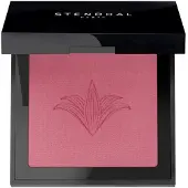 Stendhal Illuminating Blush 303 Rose Marrakech 5.5g
