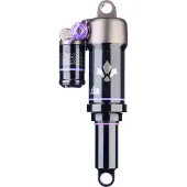 Formula Ammortizzatore Nebbiatrunnion