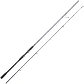 Cinnetic Canna Spinning Sky Line Purple Sea Bass Evolution