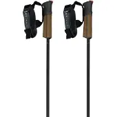 Fischer Bastoncini Gt 11 Carbon Mag
