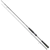 Daiwa Canna Spinning Labrax Seabass