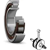 Skf Cuscinetto Nu 6204-ecp - 20x47x14 Mm