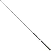 Daiwa Canna Jigging Legalis