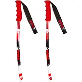 Vola Bastoncini Junior Gs Alu