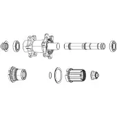 Zipp Tappo Asse Per Mozzo Posteriore Cognition Campagnolo N3w