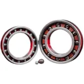 Zipp Cuscinetti 61903 Ceramic