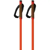 Fischer Bastoncini Storm Gtx L