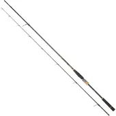 Daiwa Canna Spinning Morethan Branzino Expert Ags