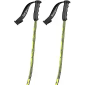 SCOTT Bastoncini Team Issue Gs