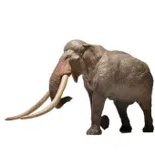 Eofauna Figura Di Elefante Dalle Zanne Dritte 1:35