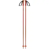 Salomon Bastoncini Polar